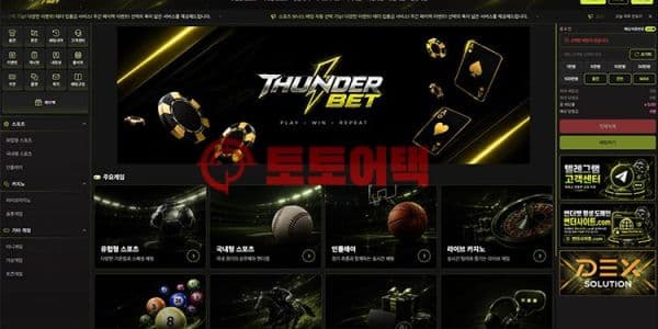 썬더벳(td-999.com) 먹튀사이트 판별과 초보자를 위한 자산 보호 가이드 대표 이미지