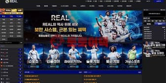 레알(rea-88.com) 먹튀 이력 및 안전성 정밀 분석 보고서 섬네일 이미지