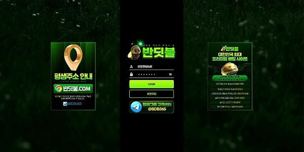 보증업체 반딧불 대표 이미지