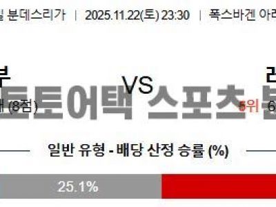 2025년 11월 22일 볼프스부르크 vs 레버쿠젠 분데스리가  경기 예측 섬네일 이미지