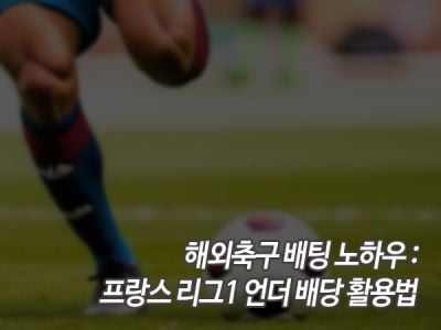 해외축구 배팅 노하우: 프랑스 리그1 언더 배당 활용법 섬네일 이미지