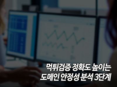 먹튀검증 정확도 높이는 도메인 안정성 분석 3단계 섬네일 이미지