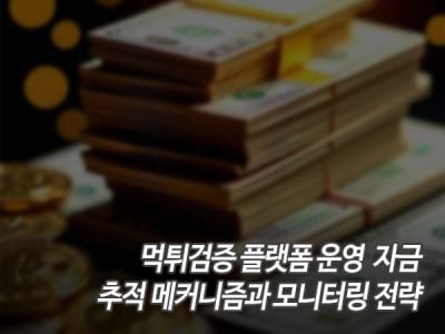 먹튀검증 플랫폼 운영 자금 추적 메커니즘과 모니터링 전략 섬네일 이미지